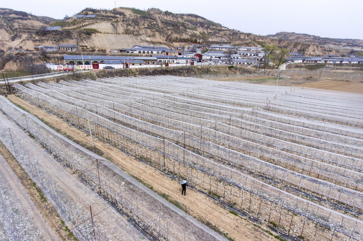 山西省临汾市隰县黄土镇交通新闻更新