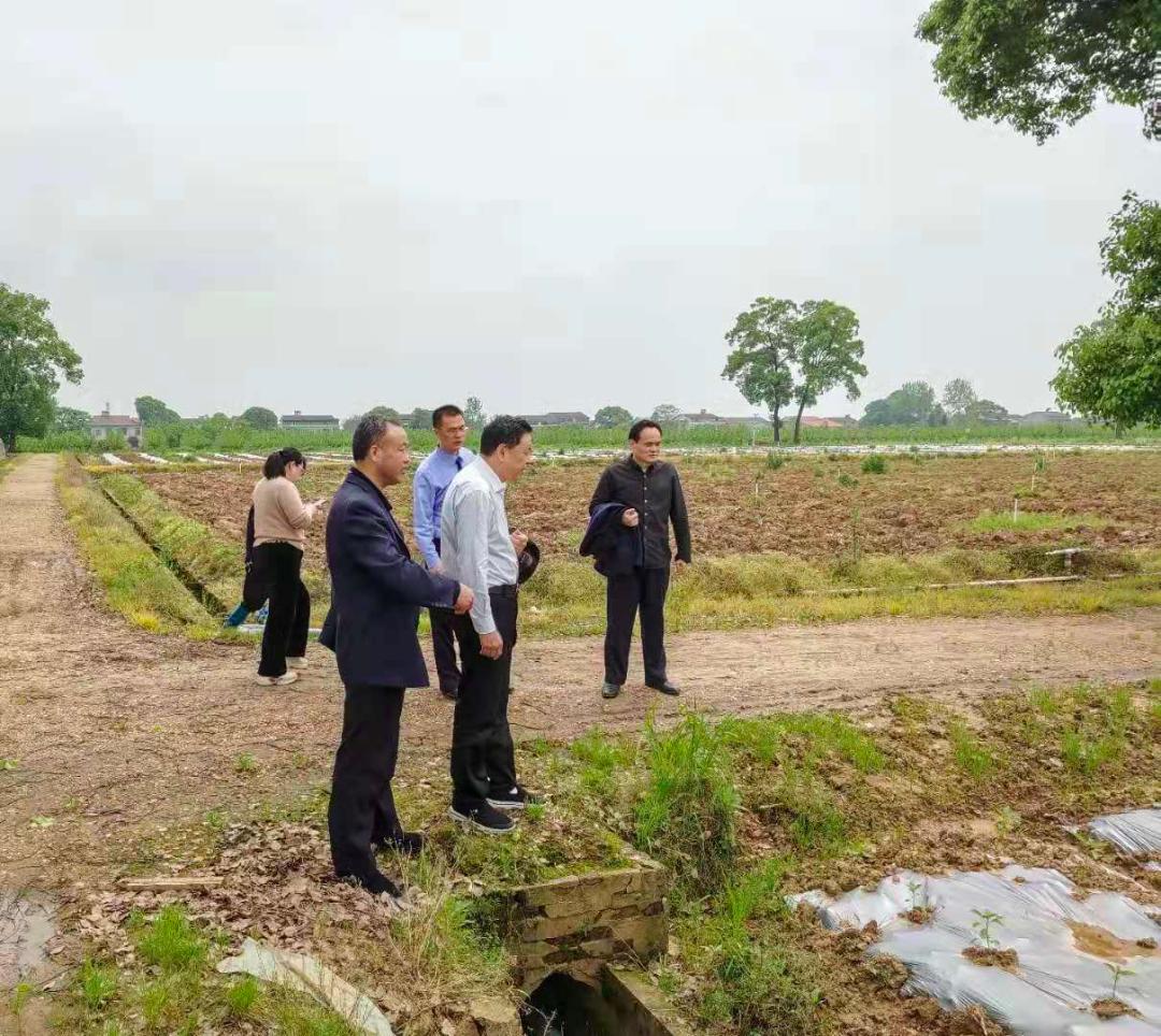 白泥湖乡最新发展规划揭晓