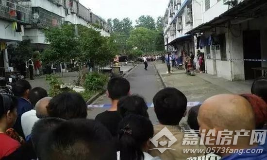 东区街道最新动态报道