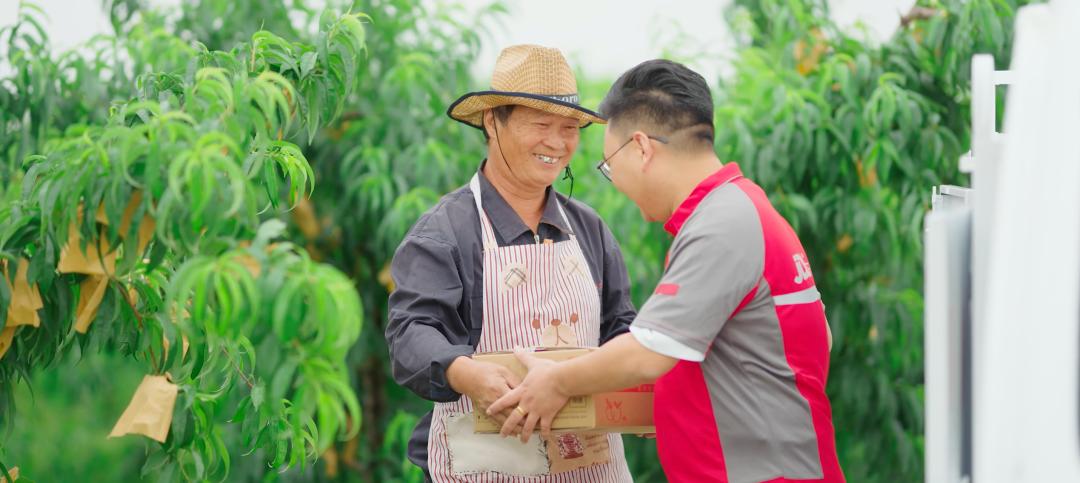 则达村最新项目，乡村振兴新动力启航