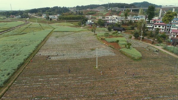 庆寨村典范项目，引领乡村发展的领航者