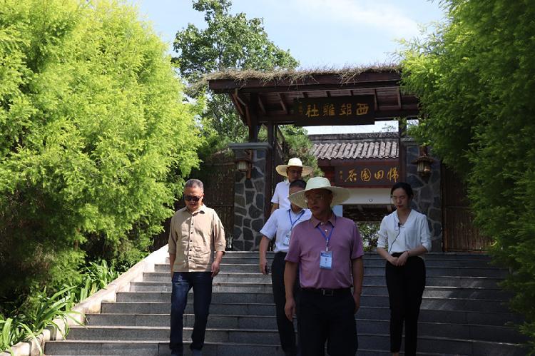 玉皇街道交通状况全面升级，居民出行更便捷，最新交通新闻播报