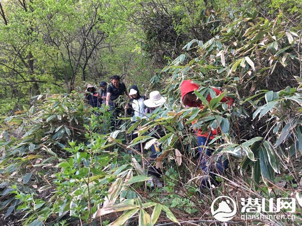 金紫山林场最新新闻动态报道