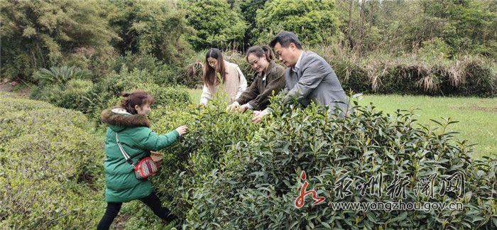 棉花坪瑶族乡新领导引领开启新篇章