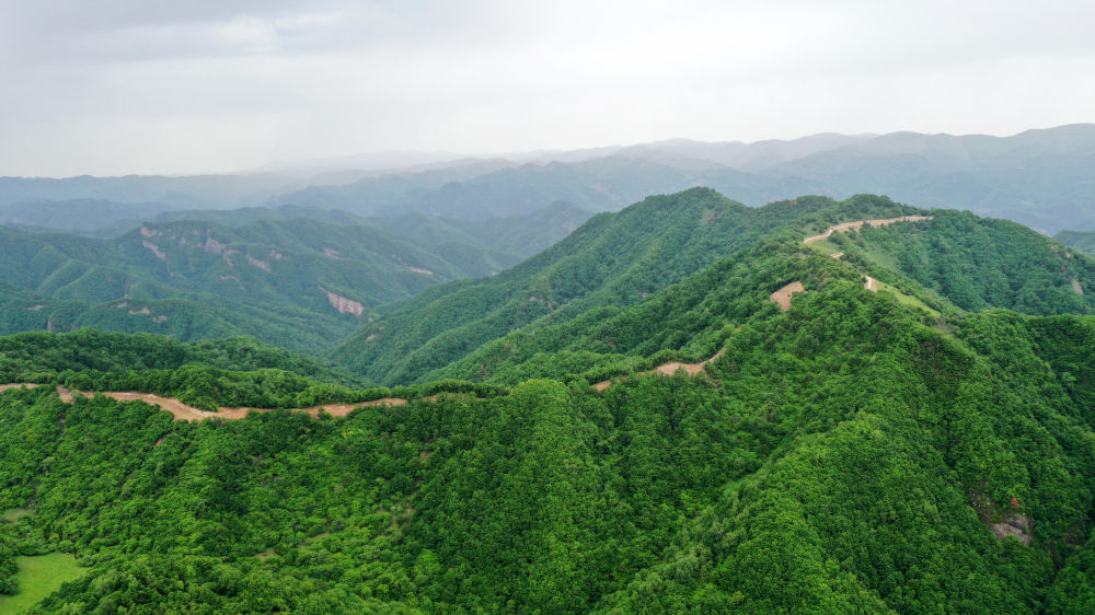 引龙河林场交通最新动态报道