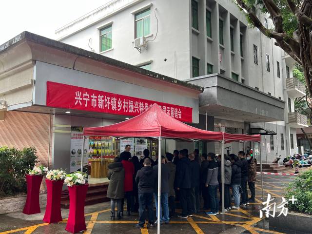 学美村最新新闻动态报道