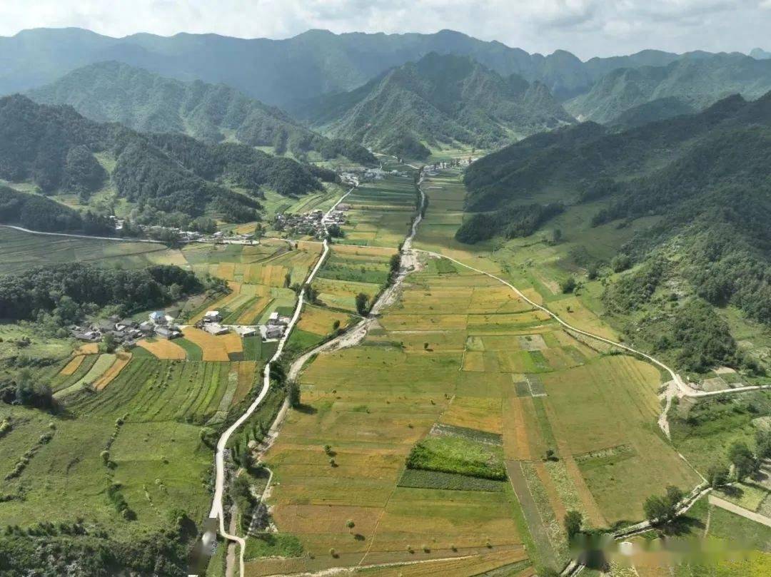 黄坪乡最新发展规划，繁荣宜居乡村蓝图揭晓