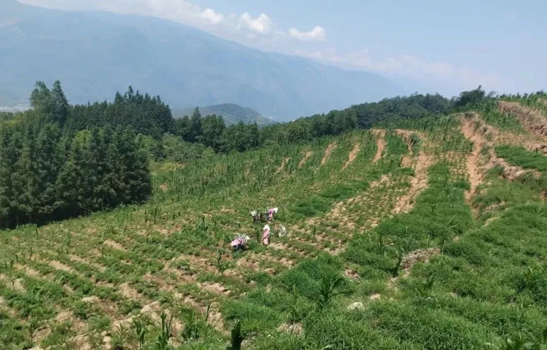 元岭山村委会新项目，地方发展的全新驱动力