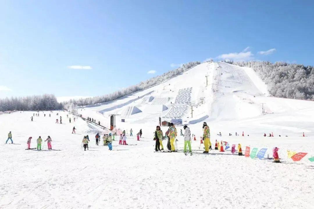 红坪村新项目，乡村振兴的新动力