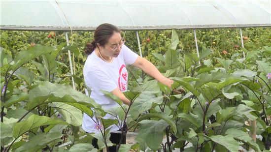 龙门农场最新交通动态报道