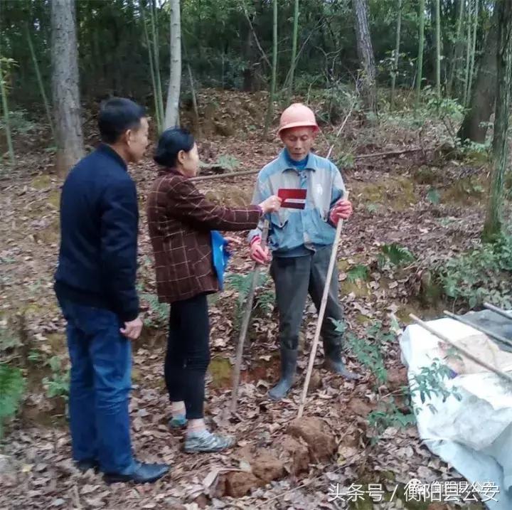 岘山乡未来乡村新面貌发展规划揭晓