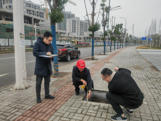 南明区审计局最新新闻动态深度解析