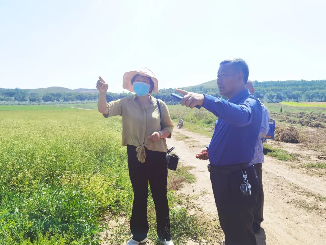 秀昌村委会领导概览最新一览