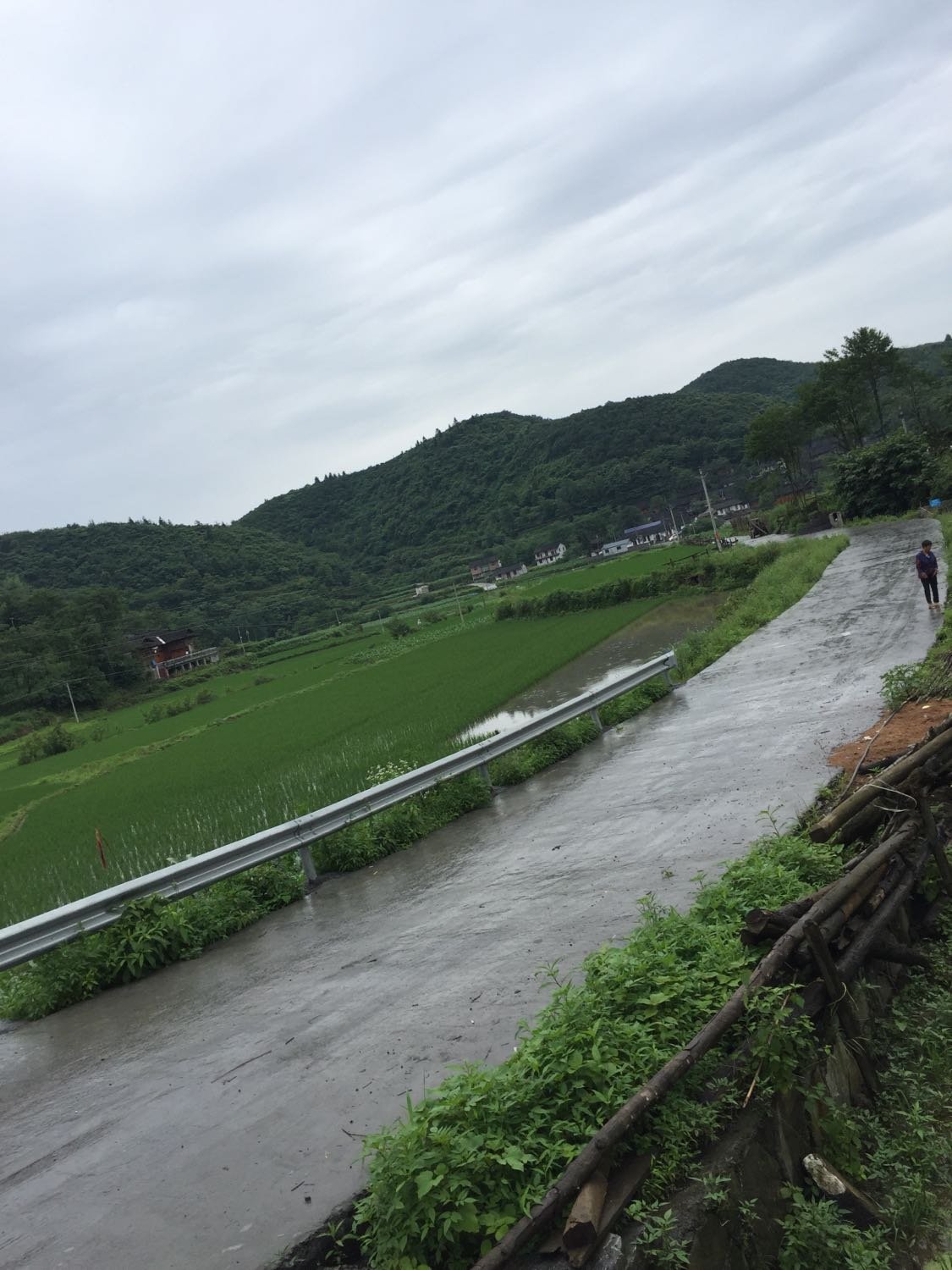 冷水溪乡天气预报更新通知