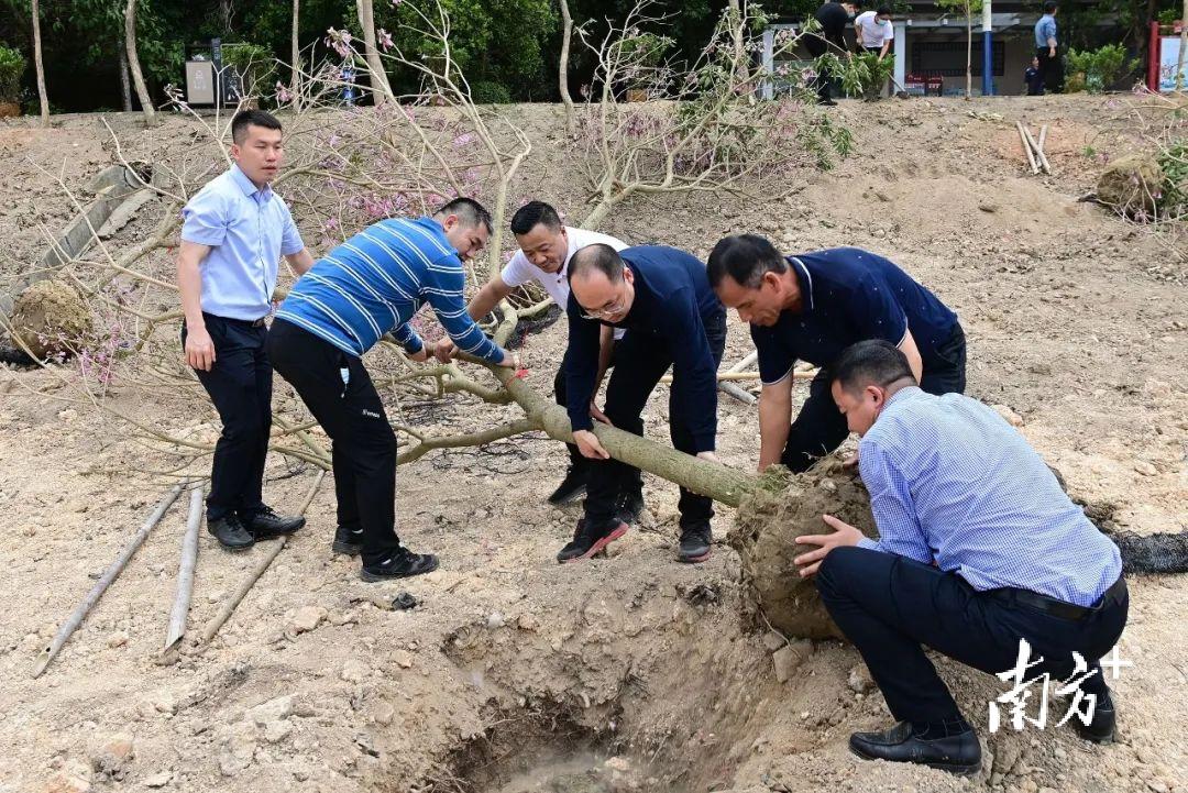 黄江镇新任领导引领下的新篇章开启