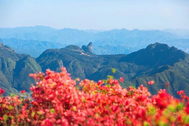 高坪镇最新天气预报