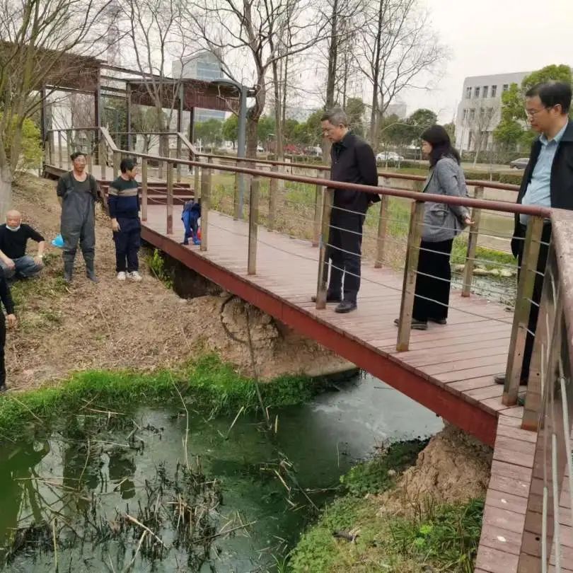 扬中市西沙芦柳管理所最新项目，探索生态与经济效益双赢之路