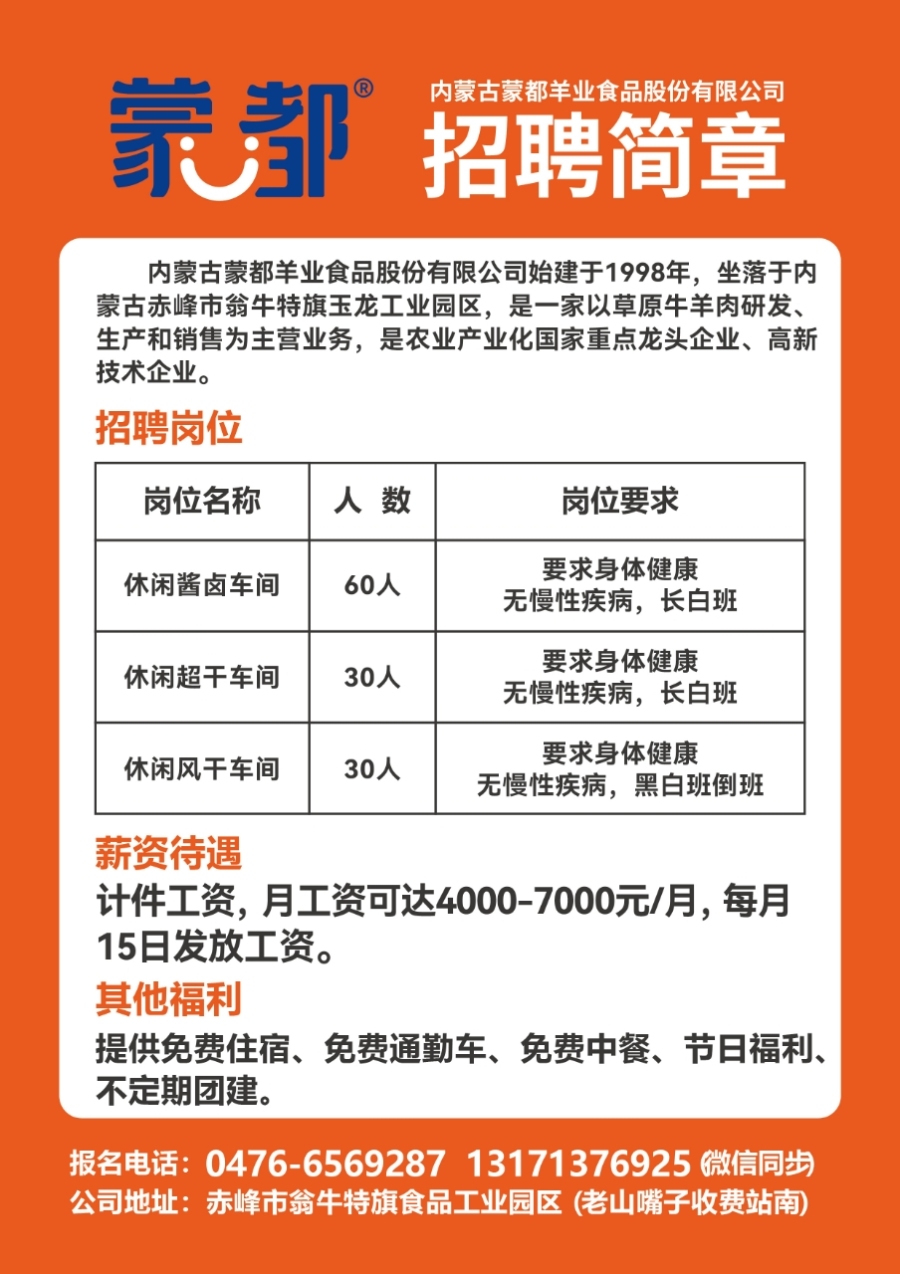 纳古镇最新招聘信息全面解析