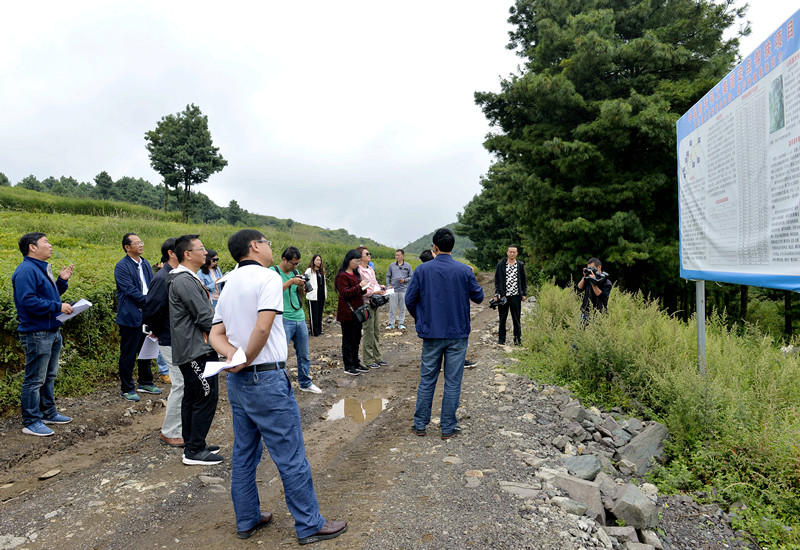 学田镇富源林场绿色发展项目探索与实践