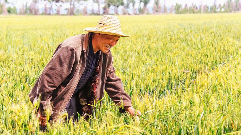 开封市工商行政管理局新项目助力市场监管现代化进程