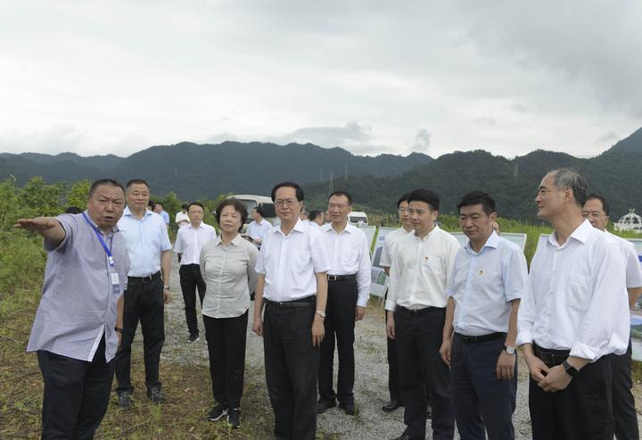 枫树岭镇未来繁荣与生态和谐发展规划蓝图揭晓