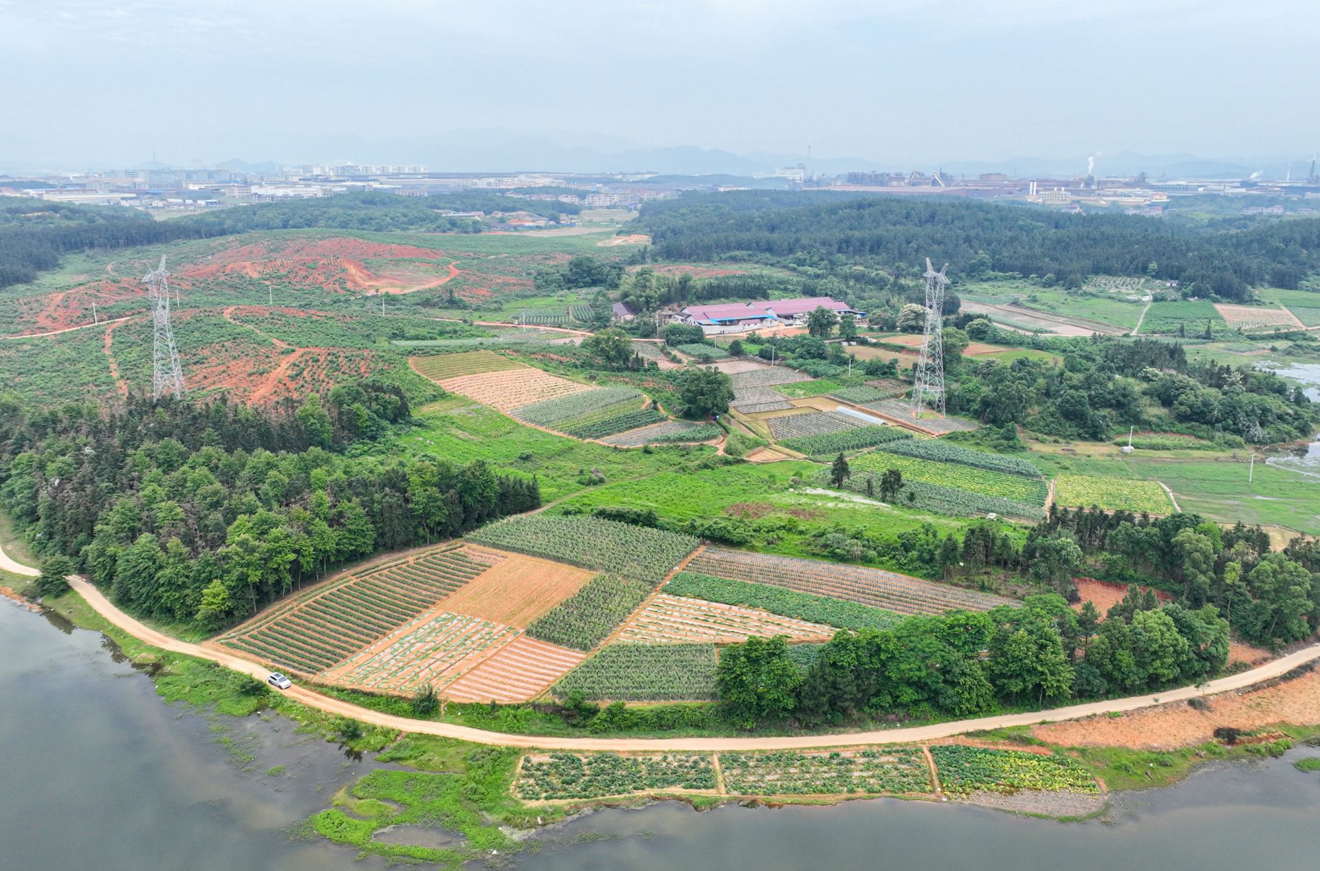 香山村新任领导，引领卓越发展的乡村力量