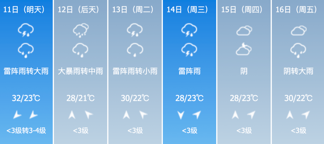 让固执流亡丶