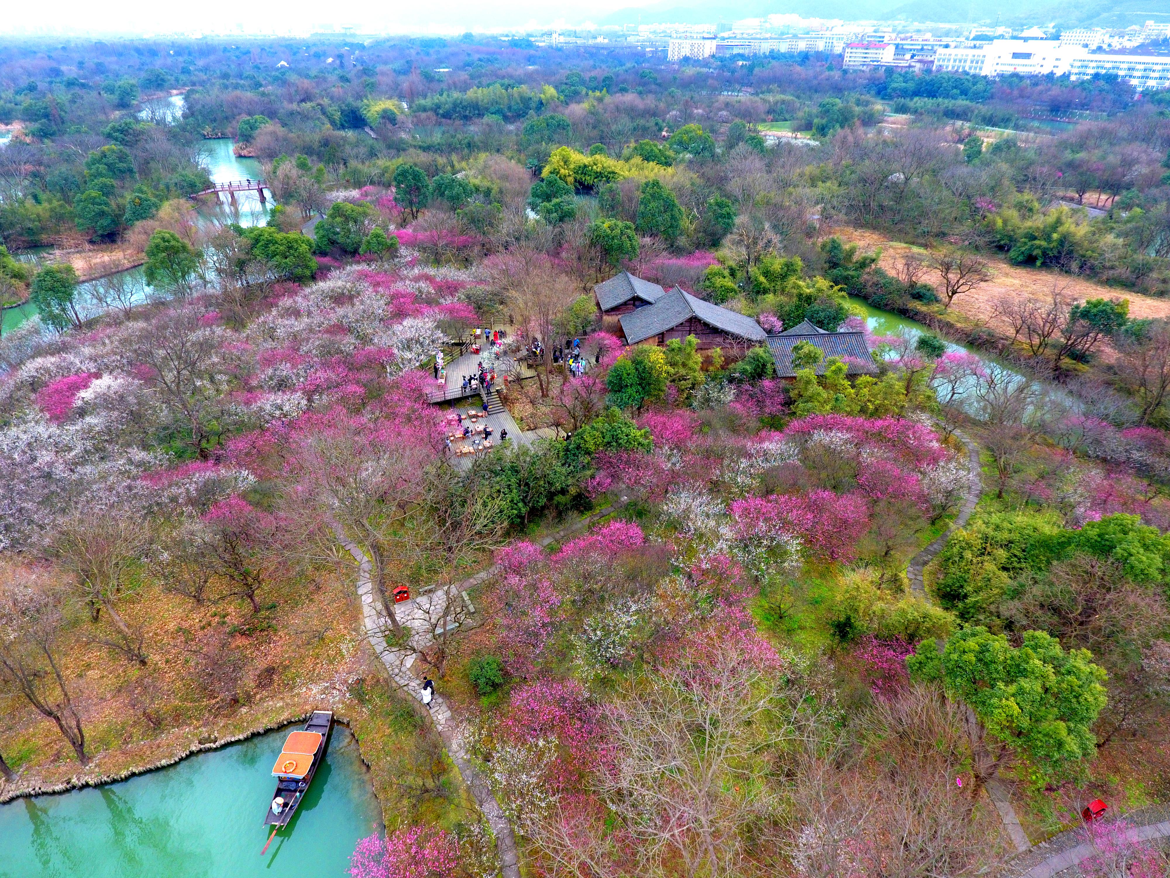 西溪镇未来城市新蓝图发展规划揭晓