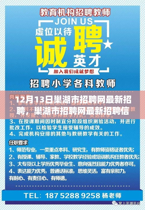 巢湖市经济委员会最新招聘概览