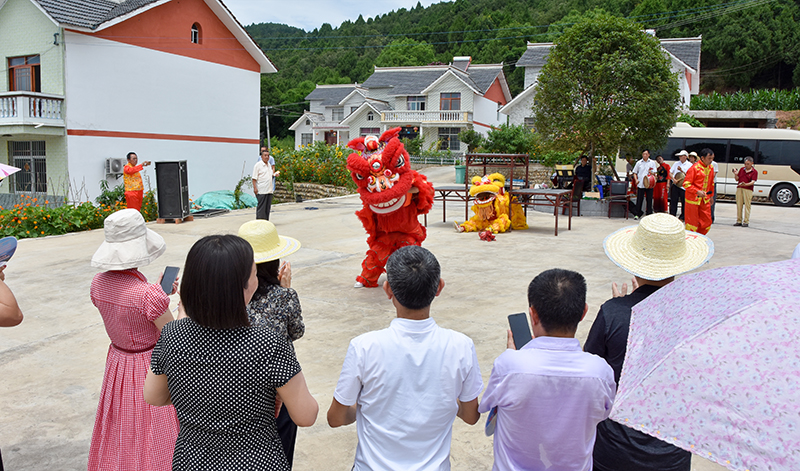 虎跳镇新任领导团队引领未来发展之路